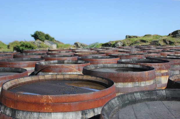 Ardbeg-Whisky-Casks.jpg