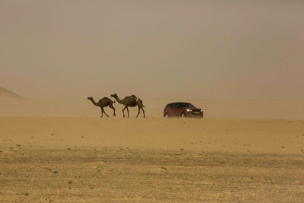 MOI_ROVER-5.jpg
