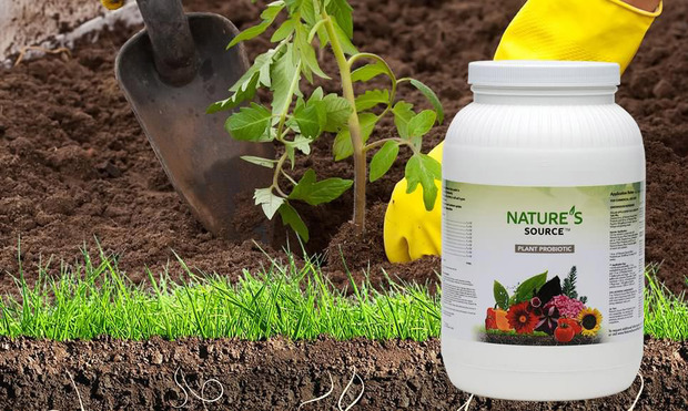 SpringGardeningProbiotic.jpg