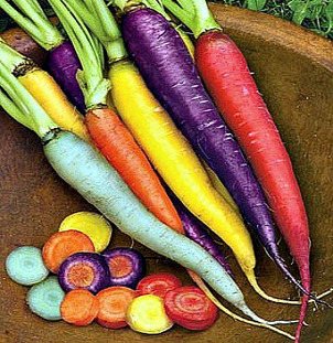 SpringGardeningRainbowCarrots.jpg