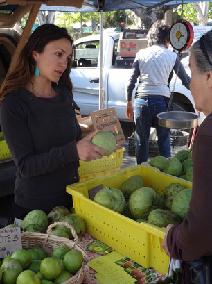 WOMSB-FarmersMarket-02.jpg
