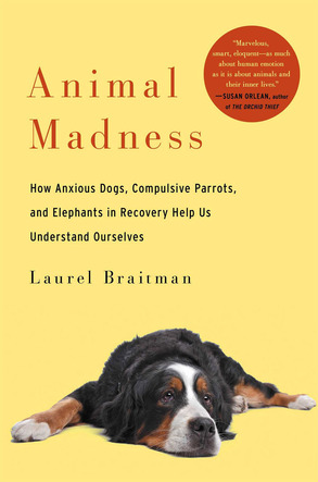 AnimalMadnessCoverImage.jpg