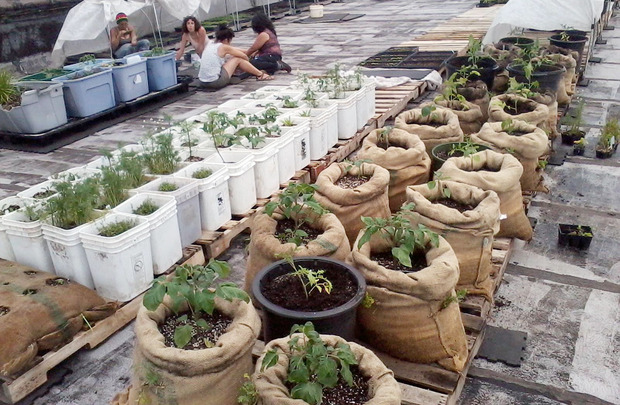 farm-in-the-sky-rooftop.jpg