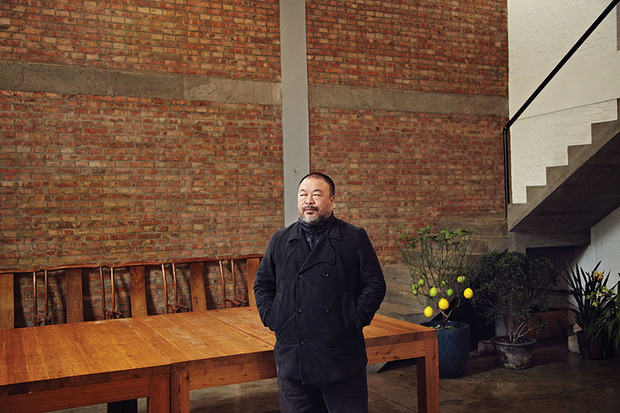 Ai-Weiwei-puss-puss-magazine-cats.jpg