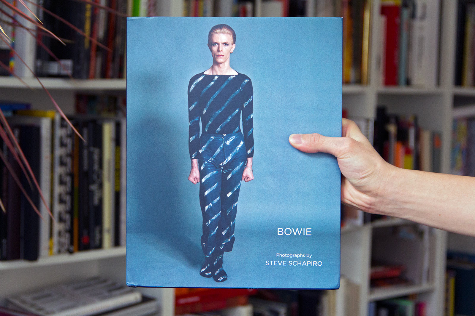 Interview: Photographer Steve Schapiro - COOL HUNTING®