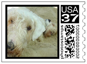 dog_stamp-30333