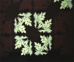 loop_blumencontrast0-30919