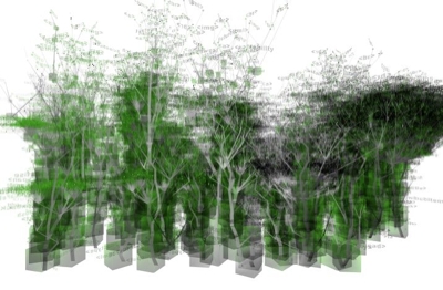 texoneorg_tree-31513