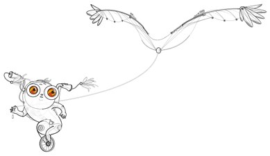 Eric-Feng Fevolution