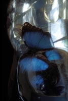 afkegolsteijn1-32205