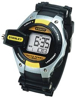 Stanleywatch12