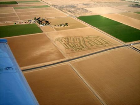 sycamorefarms3-34993