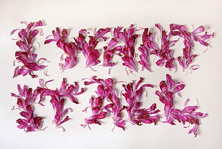 Marian Bantjes - COOL HUNTING®