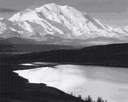 denalidenailfull-38548