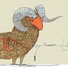 tra_sheepthumb-38454