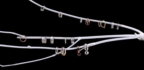 branch_withtheband-40259