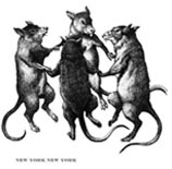 dancingratsnyc-40553