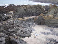 synchronicityproject1-43849