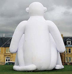 sagmeistermonkey-44416