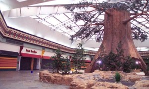 wilderness-mall-16-45280