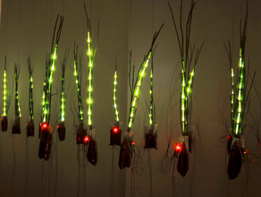 lit_from_within-46373