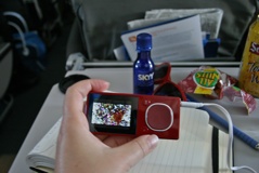 2583831985_28fea28fbb_b-1-tm-47065