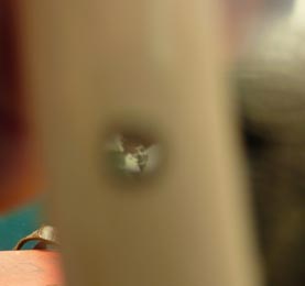 mastodonrazormagnifying-48872