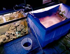 christine-callahan2-49496