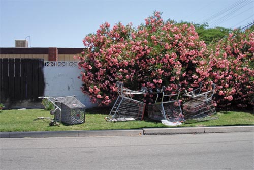 stamolis_north-fresno-street2006-49543