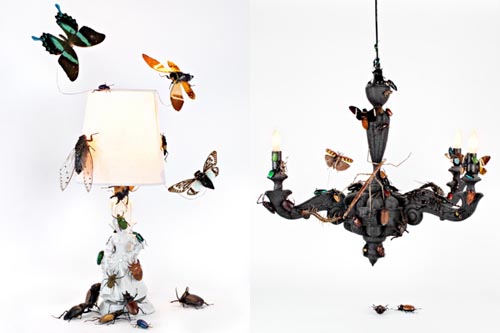 beacon-bug-lamps-floto-warner-1-51576