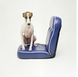 daan_op_blauwe_stoel_20053-51764