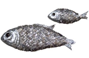 milagra-fish.jpg