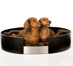 urban-dreams-petbed-51754