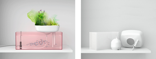 floating_garden-53708