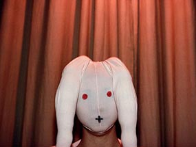 bunnynose-new-1.jpg