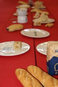 exposicion_papila_2-57465