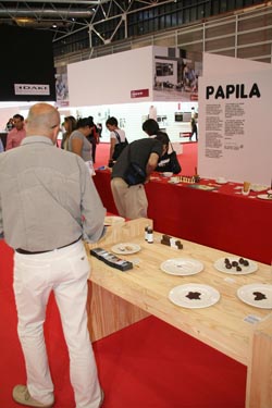 exposicion_papila_3.jpg