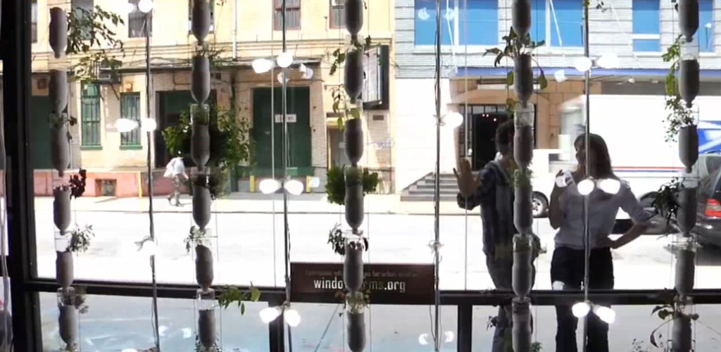 chv_windowfarms-58640