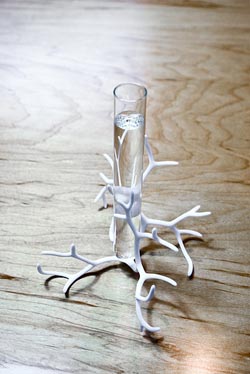 nervous-system-proto2-59589