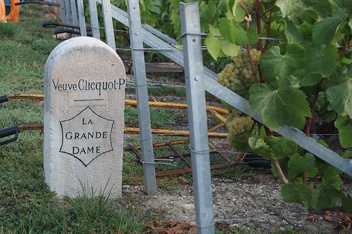 veuve-clicquot-grande-dame