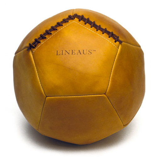 lineaus-1-60686