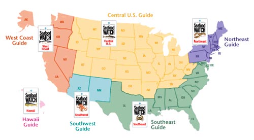 seafood-watch4.jpg