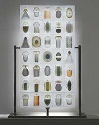 steffen-dam-50-61463