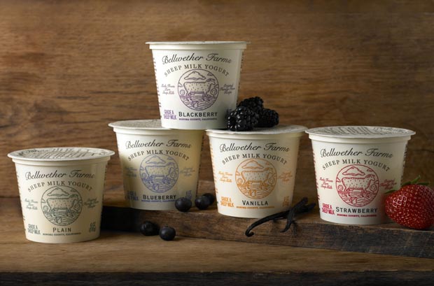 bellwether-yogurt1.jpg