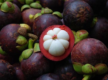 mangosteen-5.jpg
