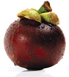 mangosteen-6.jpg