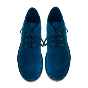 blueshoes-thumb-64326