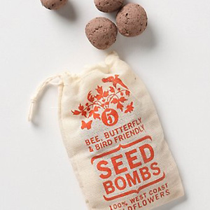 seedbomb-thumb-65416