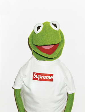 SupremeBookKermit-1.jpg