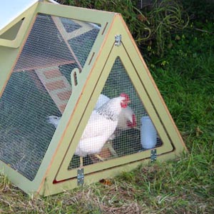 chickencribs_thumbnail2-67090